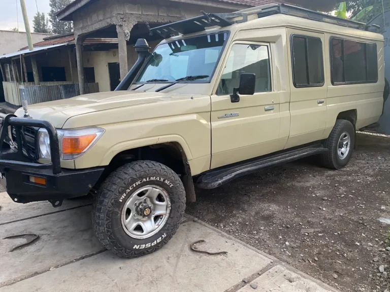 3-Day Maswa and Southern Serengeti Package
