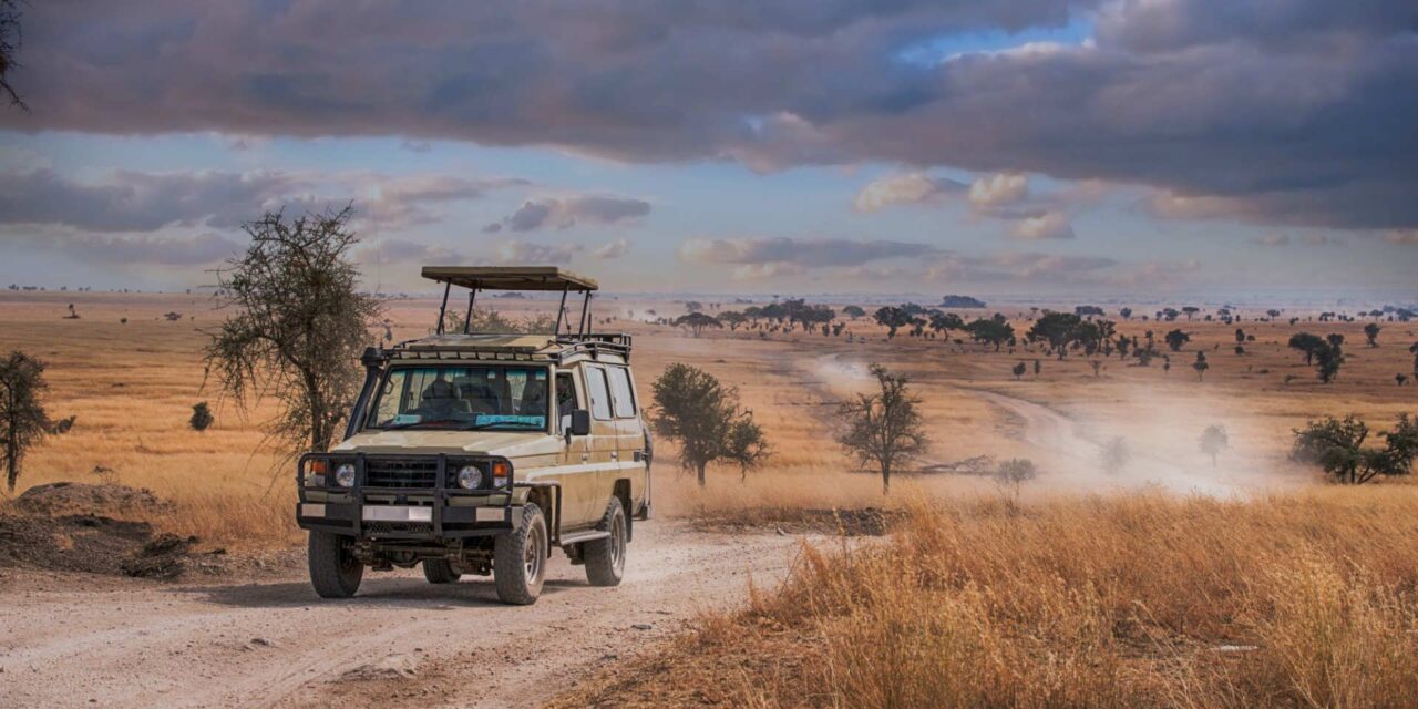 Solo Female Travel Africa: Your Essential Guide