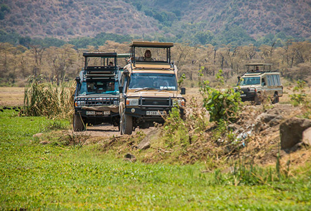 Lake Manyara Weekend Safari From Moshi: Best Guide 2026-2027-2028