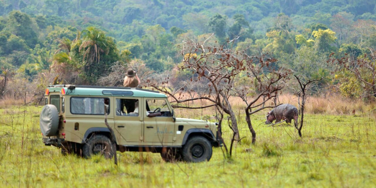 Africa Expedition Journeys For Nature Lovers: Complete Guide 2026-2027
