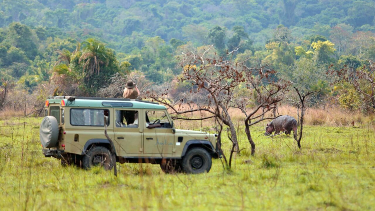 Africa Expedition Journeys For Nature Lovers: Complete Guide 2026-2027