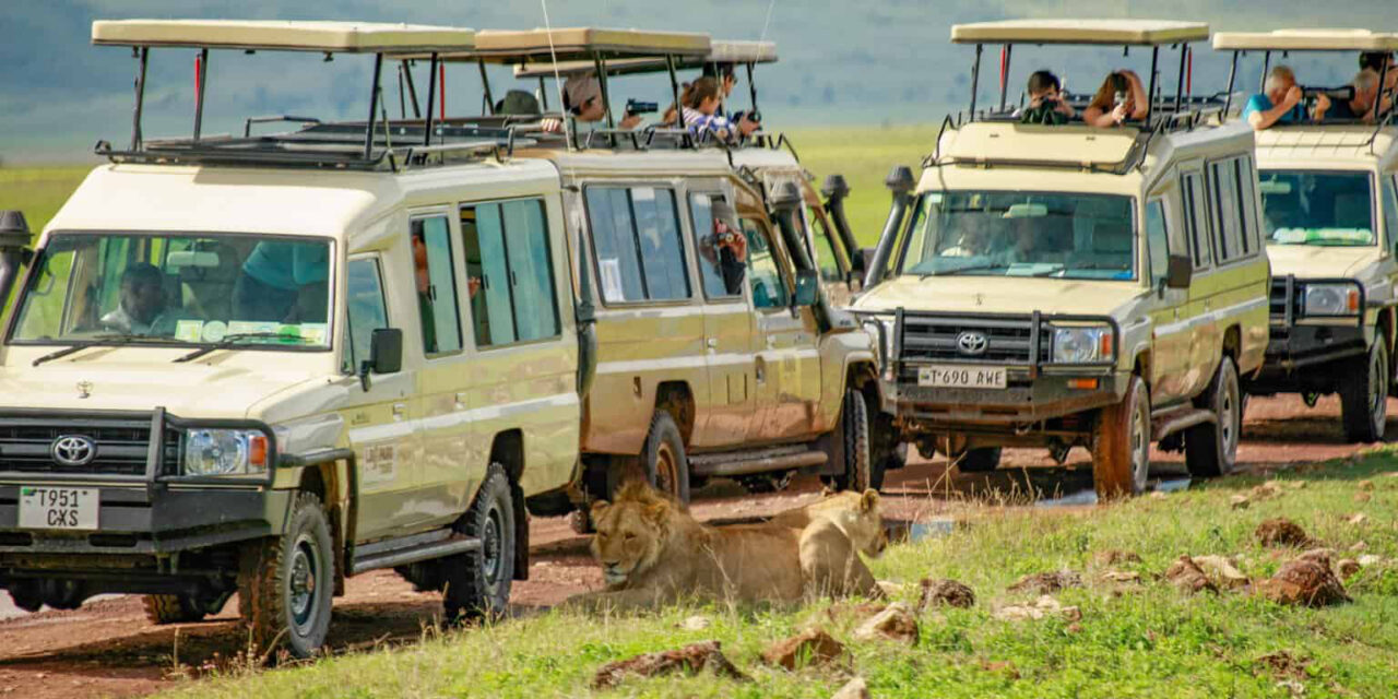 7 Days Serengeti Balloon Safari From Moshi: Best Guide 2026-2027-2028