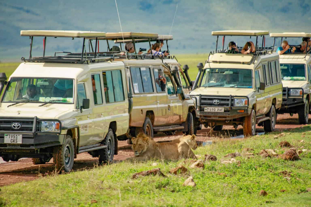 1 Day Family Safari From Moshi: Best Guide 2026-2027-2028