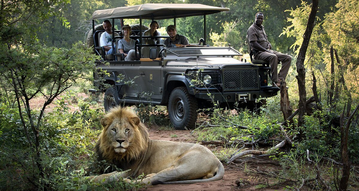 African Safari Honeymoon: Your Essential Planning Guide