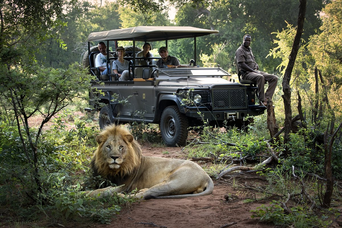 African Safari Honeymoon: Your Essential Planning Guide