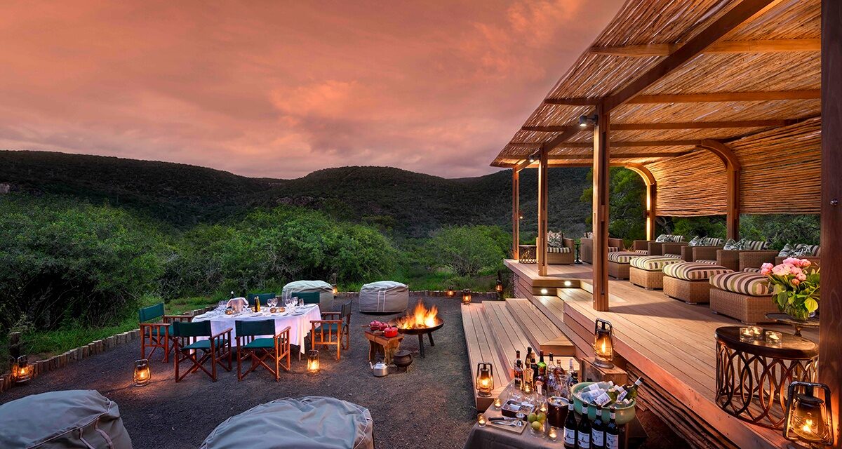 Private Safari Vs Group In Tanzania: Best Guide 2026-2027