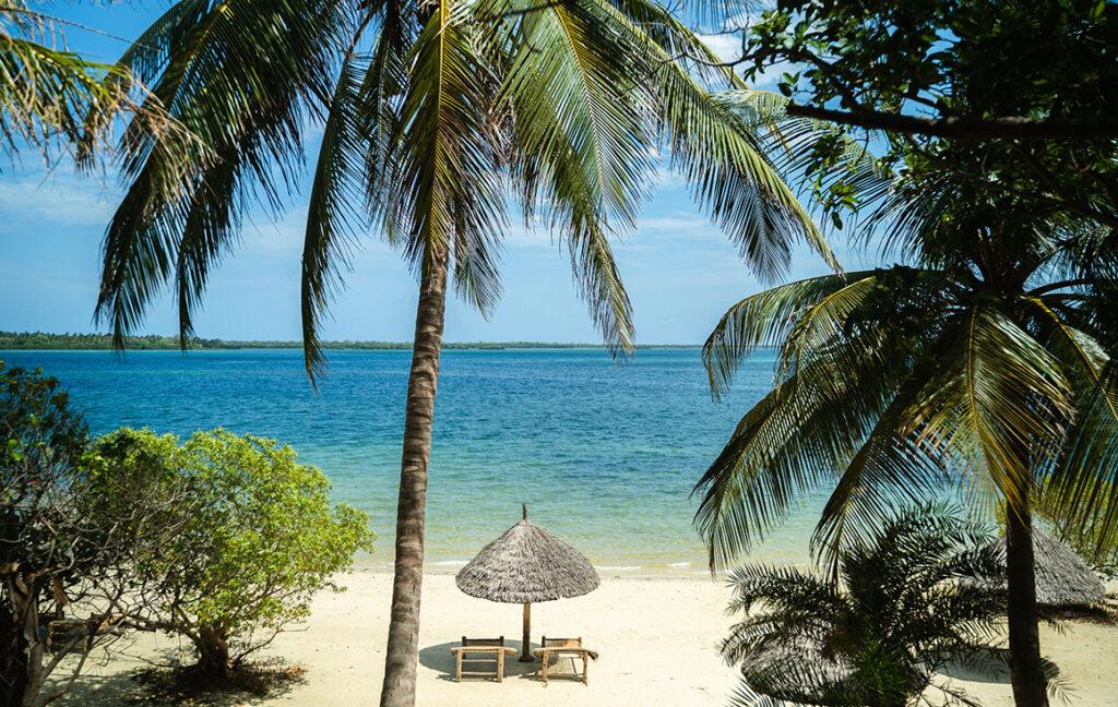 Zanzibar Safari Blue Tour From Moshi: Best Guide 2026-2027-2028