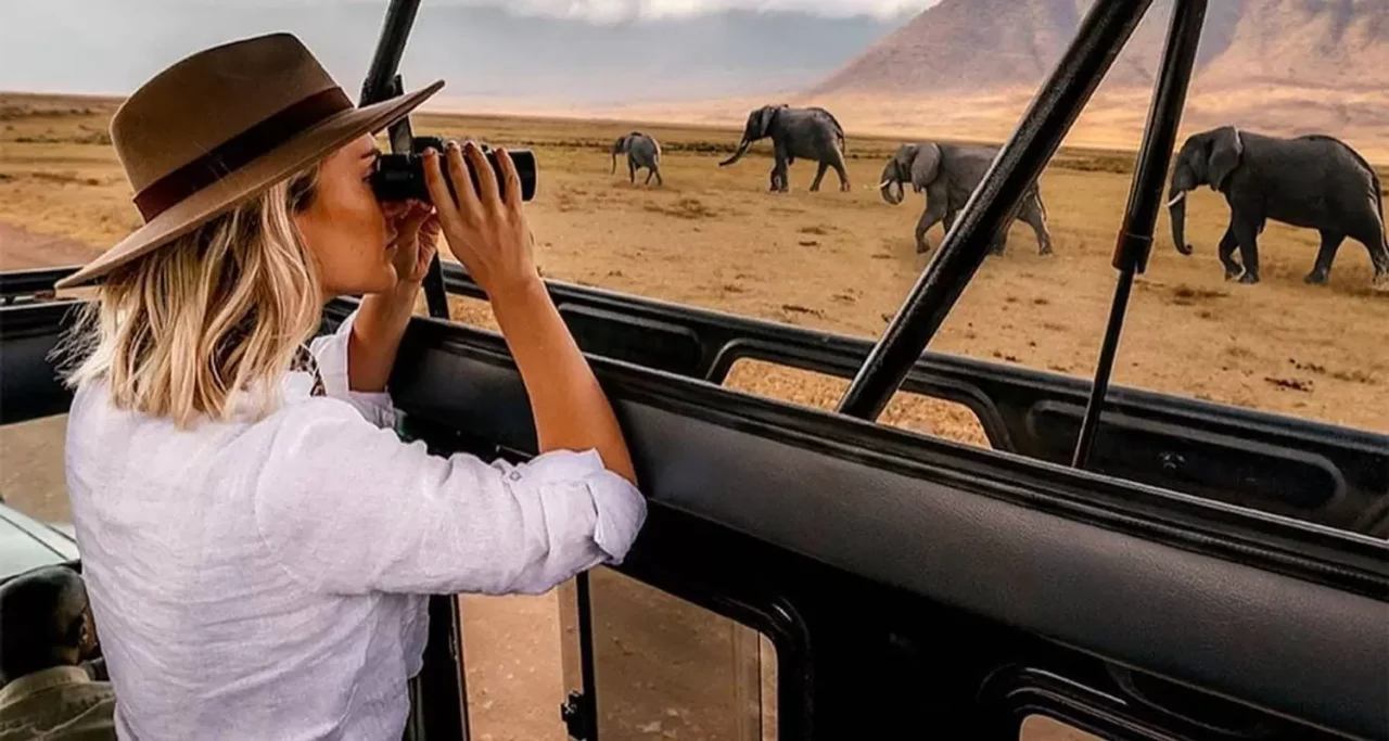Private Tanzania Safari Vs Group Safari: Which One Should You Choose