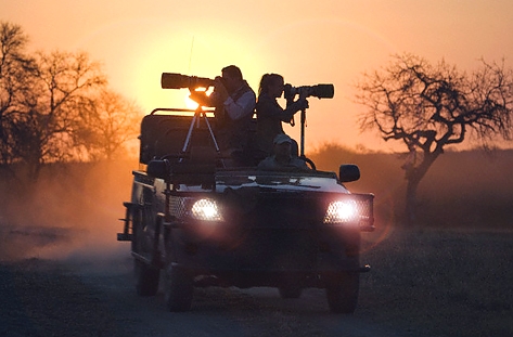 The Hidden Mountain Park In Tanzania With Waterfalls And Monkeys: Guide