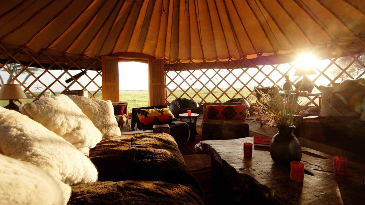 Tanzania Safari For Beginners: What To Expect: Best Guide