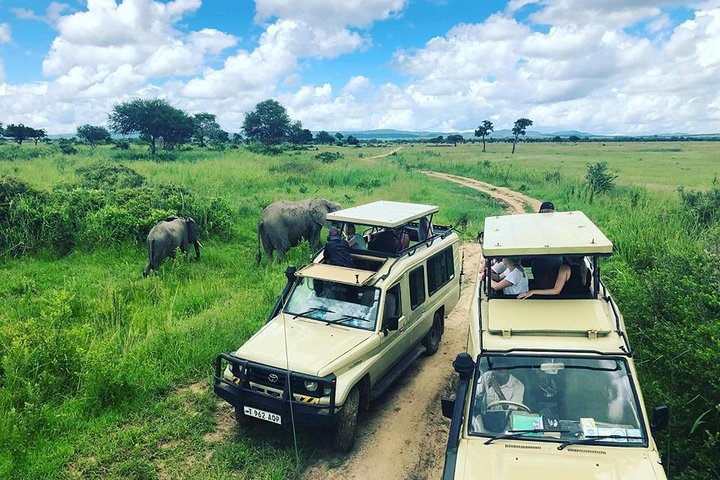 Grumeti Game Reserve: Your Ultimate Guide to an Exclusive Serengeti Safari Experience