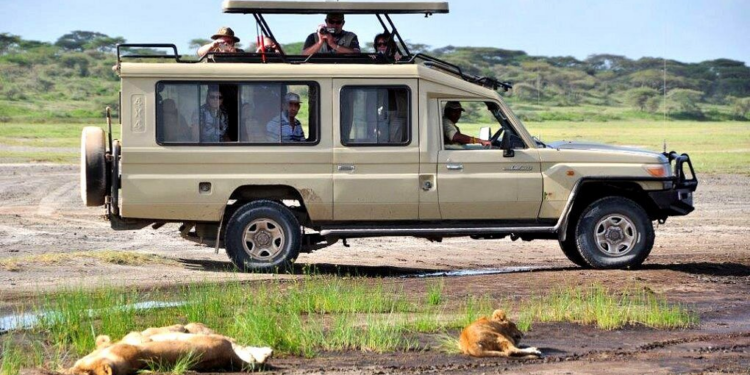 Tarangire Vs Lake Manyara: Which Park Is Better?: Best Safari Guide 2026-2027