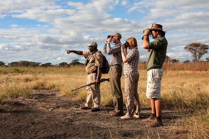 Tanzania Safari Guide: Everything You Need To Know: Best