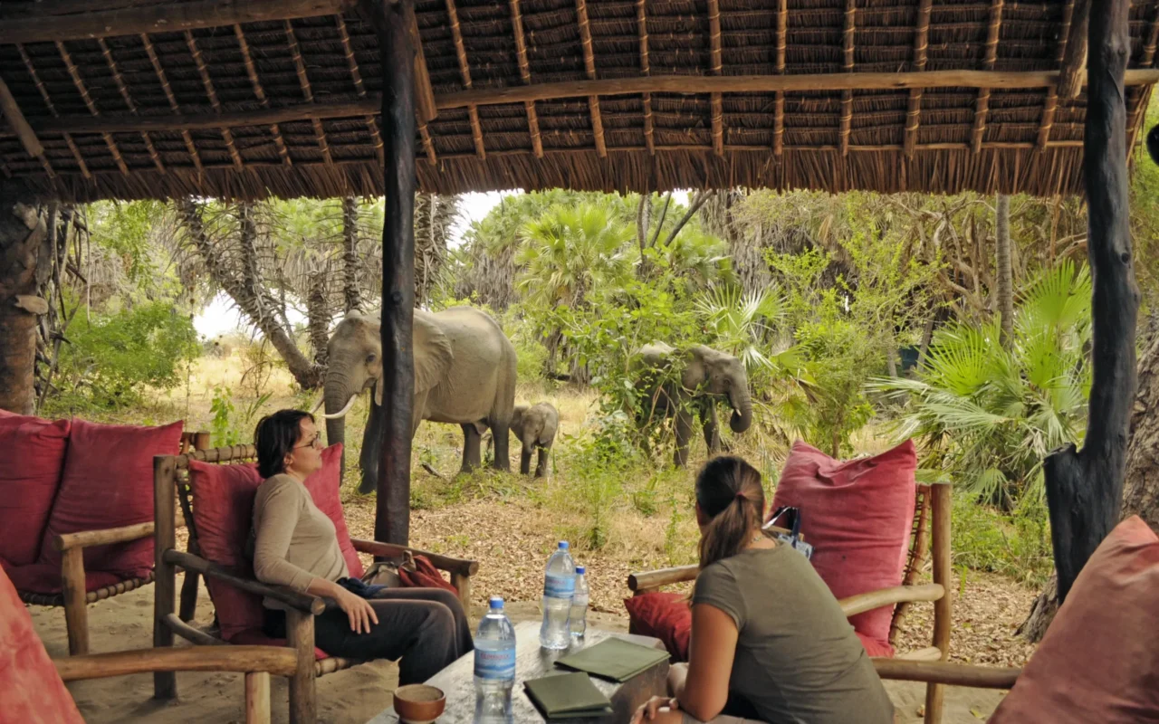 Ngorongoro Crater And Tarangire Safari: Expert Travel Guide