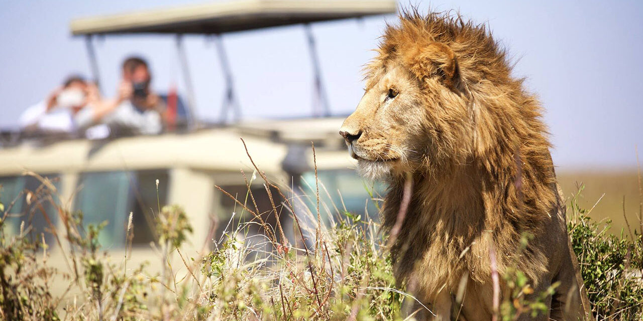 Tanzania Safari Packlist – Best Guide 2026-2027