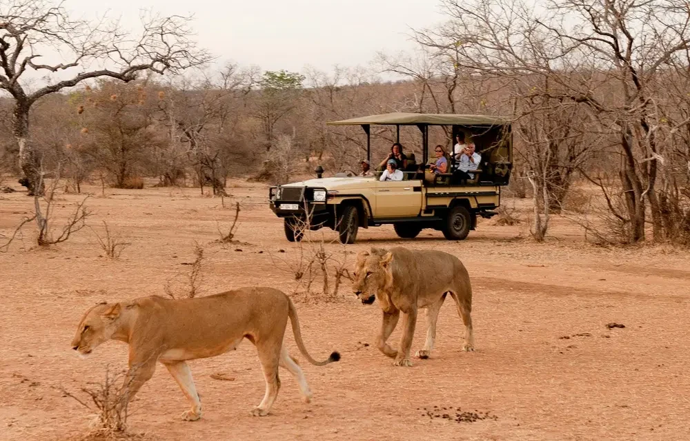 Tanzania Safari Cost – Best Guide 2026-2027