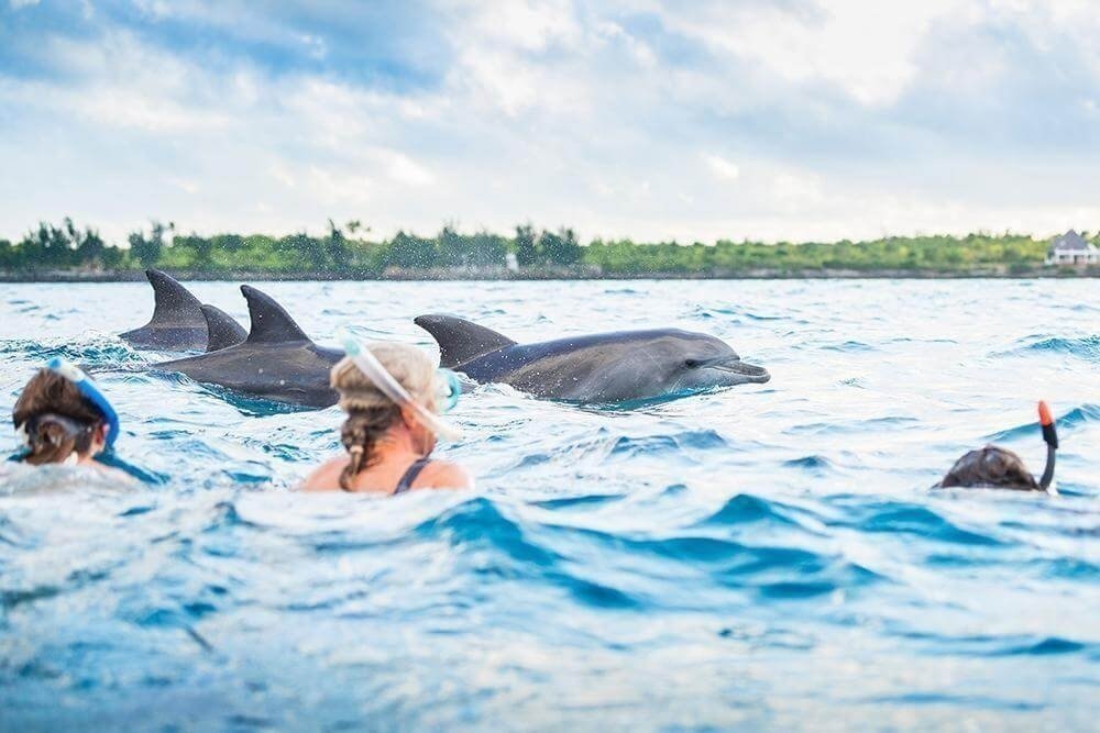 Zanzibar Honeymoon Guide: Your Perfect Island Escape