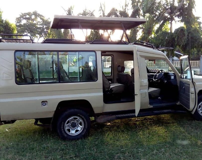 5-Day Luxury Fly-In Masai Mara With Private Guide: Travel 2026-2027