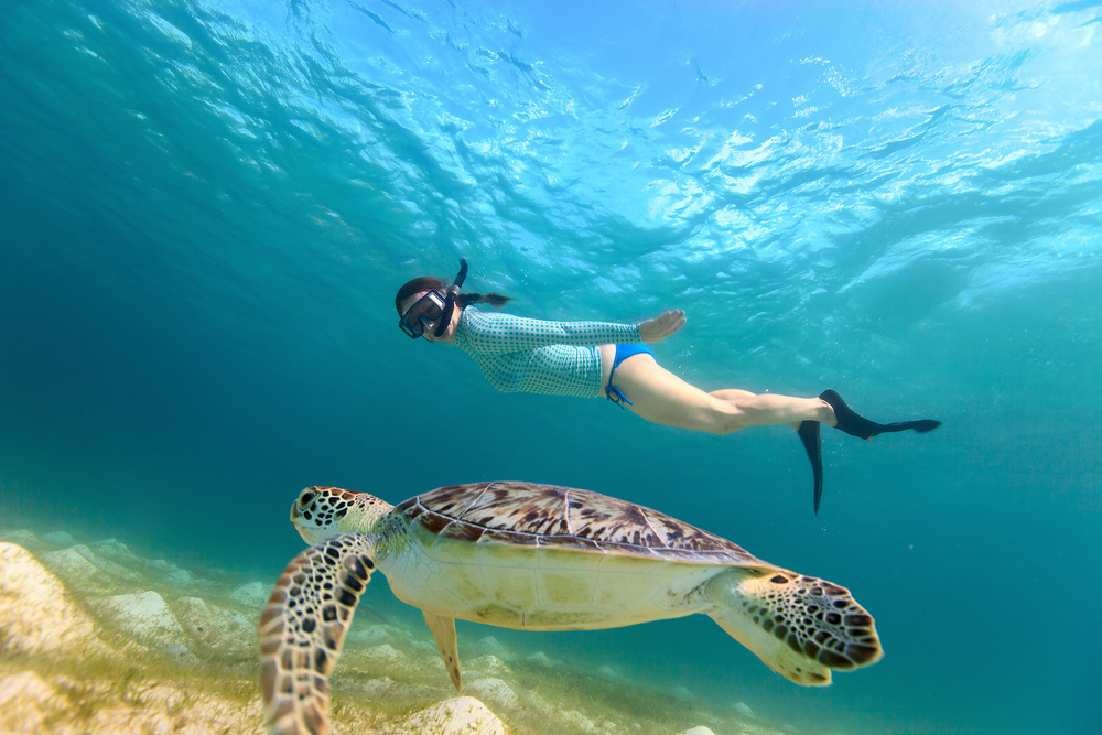 Moshi To Zanzibar Tour Package: Complete Travel Guide 2026-2027-2028