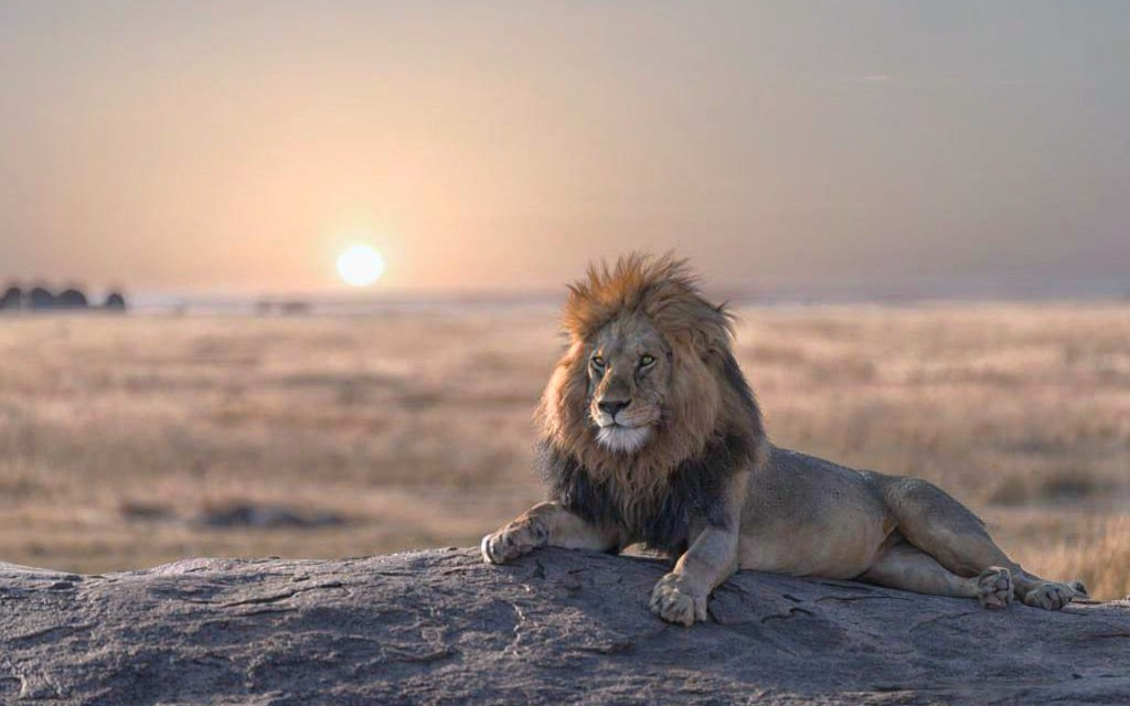 How to Book Arusha City Tour – Complete Guide 2026-2027