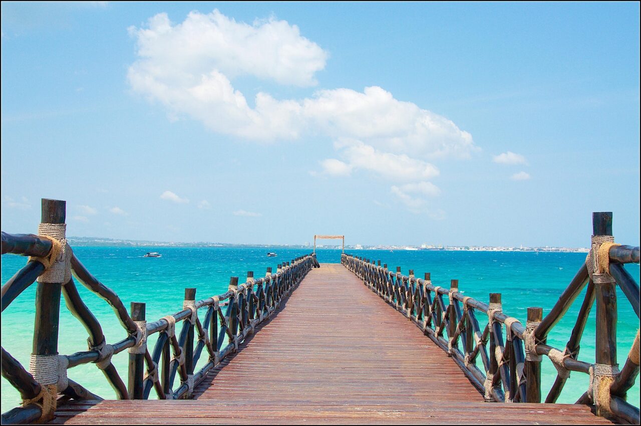 Budget Mikumi Safari From Zanzibar: Best Guide 2026-2027-2028