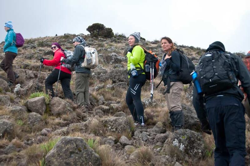7 Days Machame Route Kilimanjaro Climb Cost + (32–38 Trekking hrs) 2026-2027