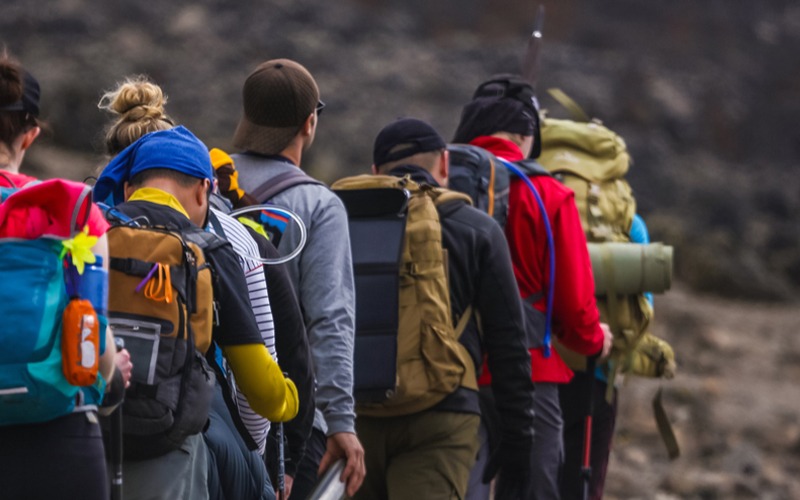 Kilimanjaro Day Trek Via Lemosho Route: Expert Trekking Guide 2026-2027