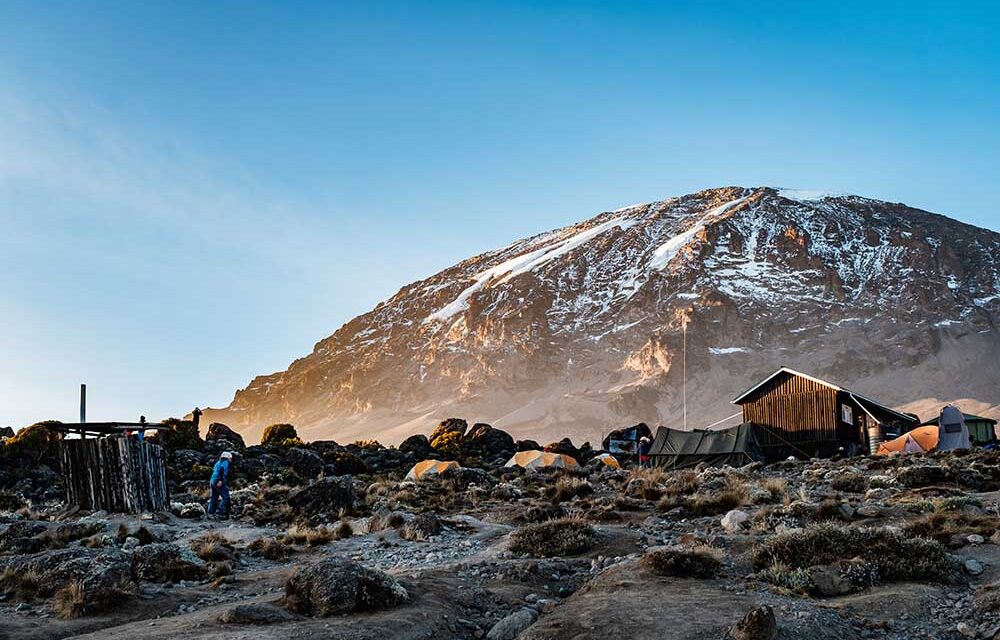 Kilimanjaro Shira Plateau Day Hike From Moshi, Short Trek 2026-2027