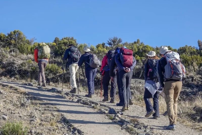 All in One, Best Cheap/Budget Kilimanjaro Trekking Packages 2026-2027