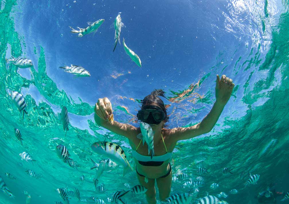 Zanzibar Prison Island Tour From Moshi: Complete Travel Guide 2026-2027-2028