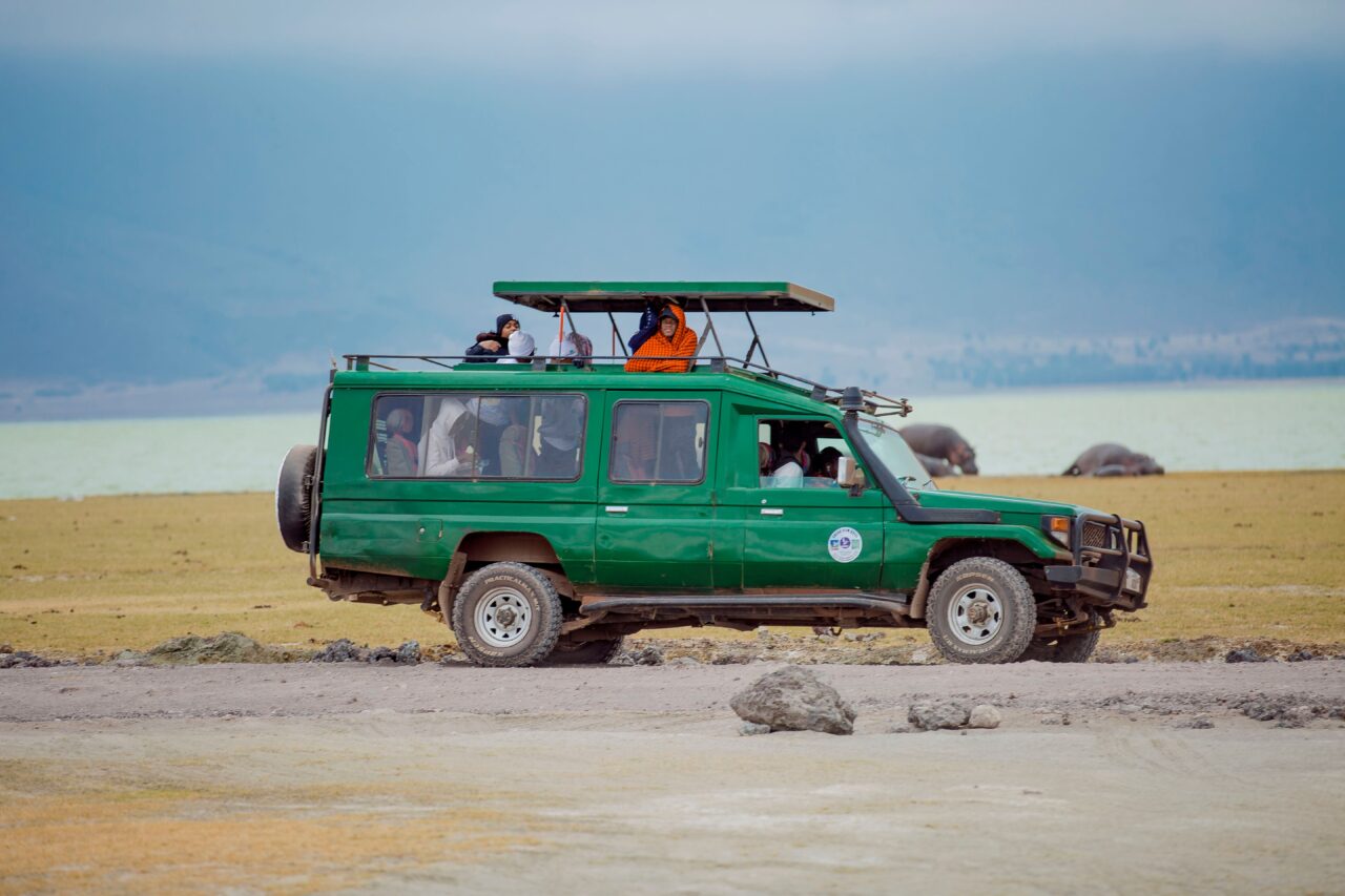 Best Safari For Families Africa: Essential Travel Guide
