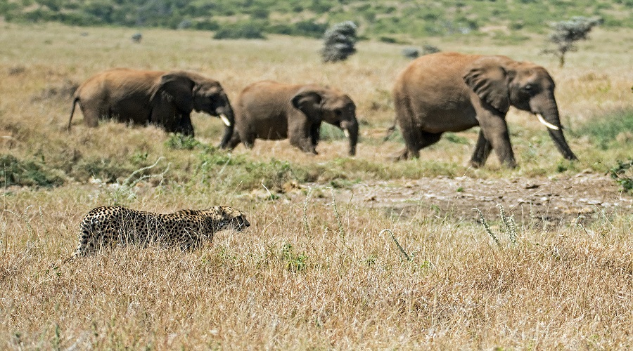 Best 3 Days Tanzania Safari Itinerary and Price 2026–2027