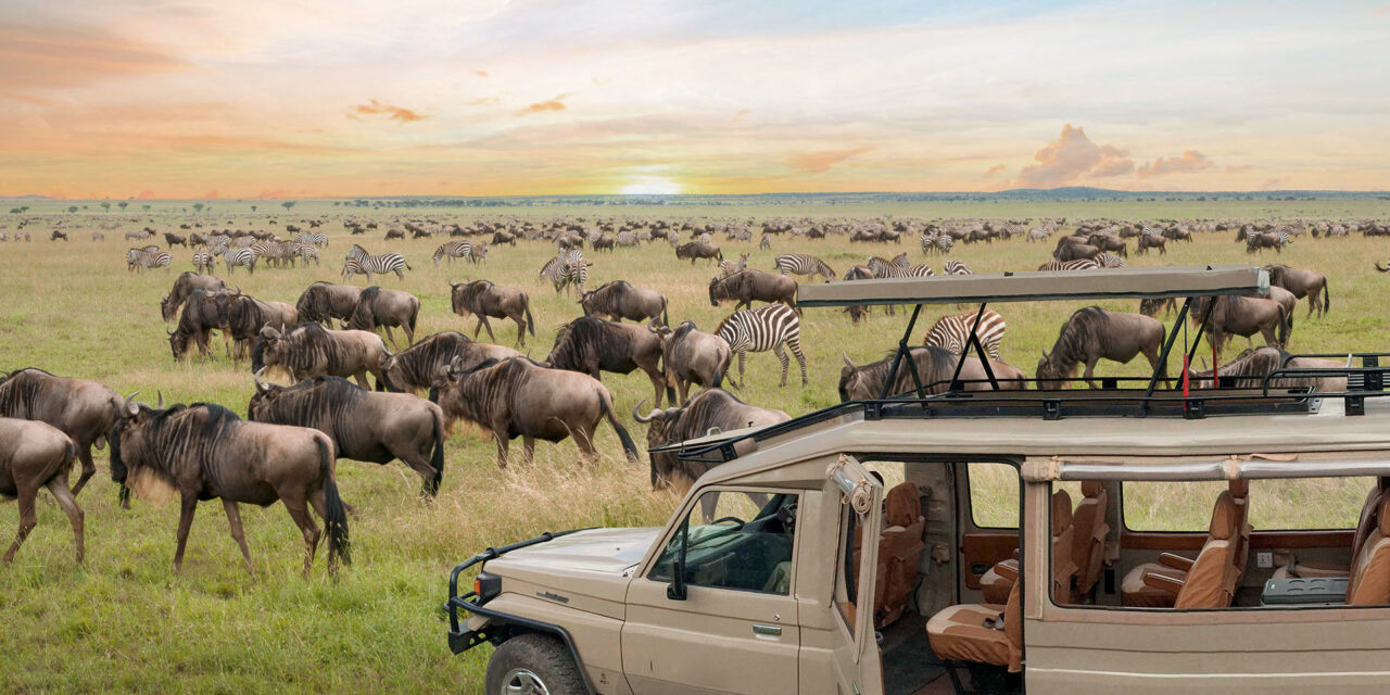 Safari And Beach Itinerary Africa: Complete Planning Guide