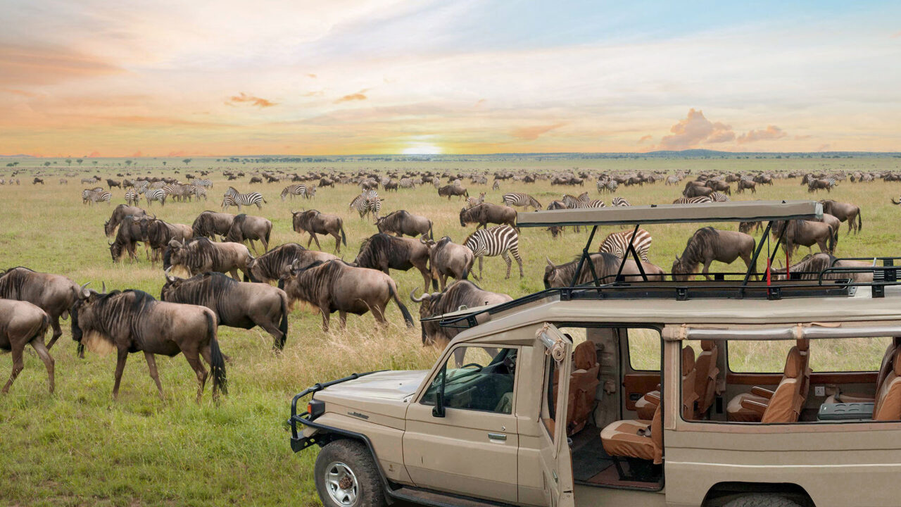 Tanzania Safari From Zambia: Best Guide 2026-2027