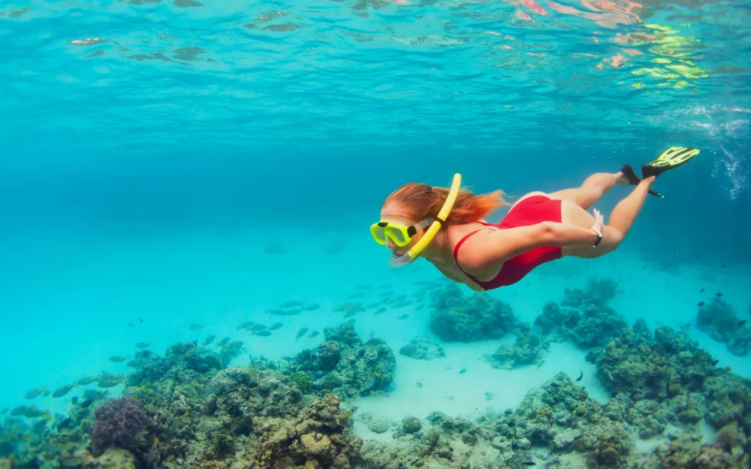 Zanzibar Safari Prices And Costs: Best Guide 2026-2027-2028