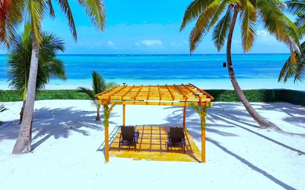 Zanzibar Dolphin Tour Kizimkazi: Your Ultimate Guide for 2026-2027