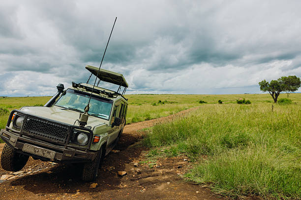 Lake Manyara Safari From Moshi: Best Guide 2026-2027-2028
