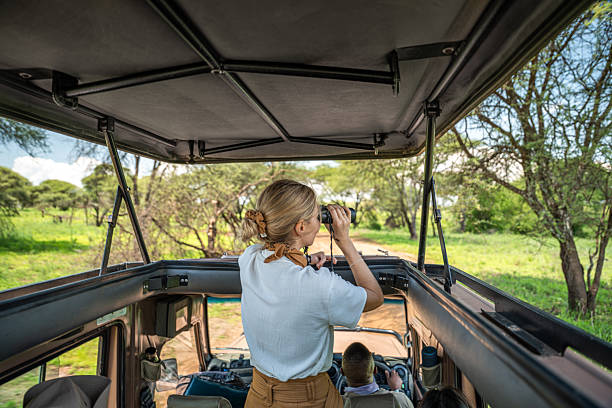 4 Days Lodge Safari From Moshi: Best Guide 2026-2027-2028