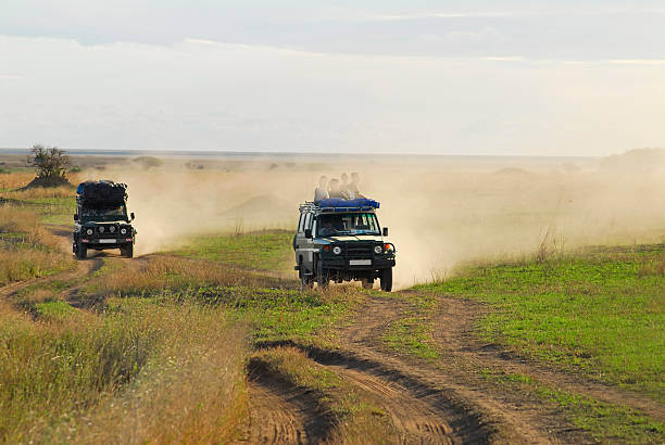 Cheap Tanzania Group Wildlife Safari: Budget-Friendly Adventure Guide 2026-2027