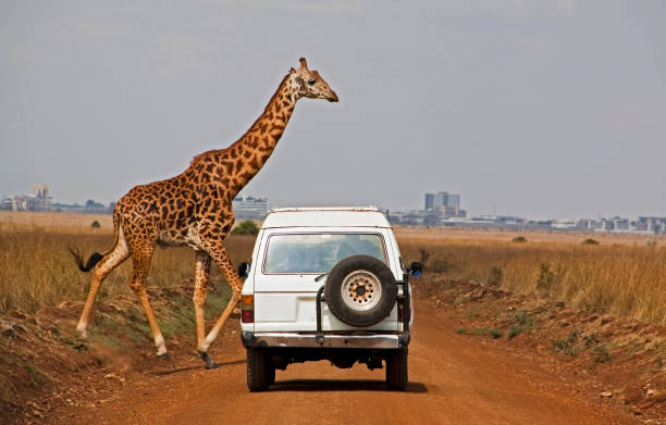 Weather Dar es Salaam: Your Ultimate Guide for Planning an Unforgettable Trip