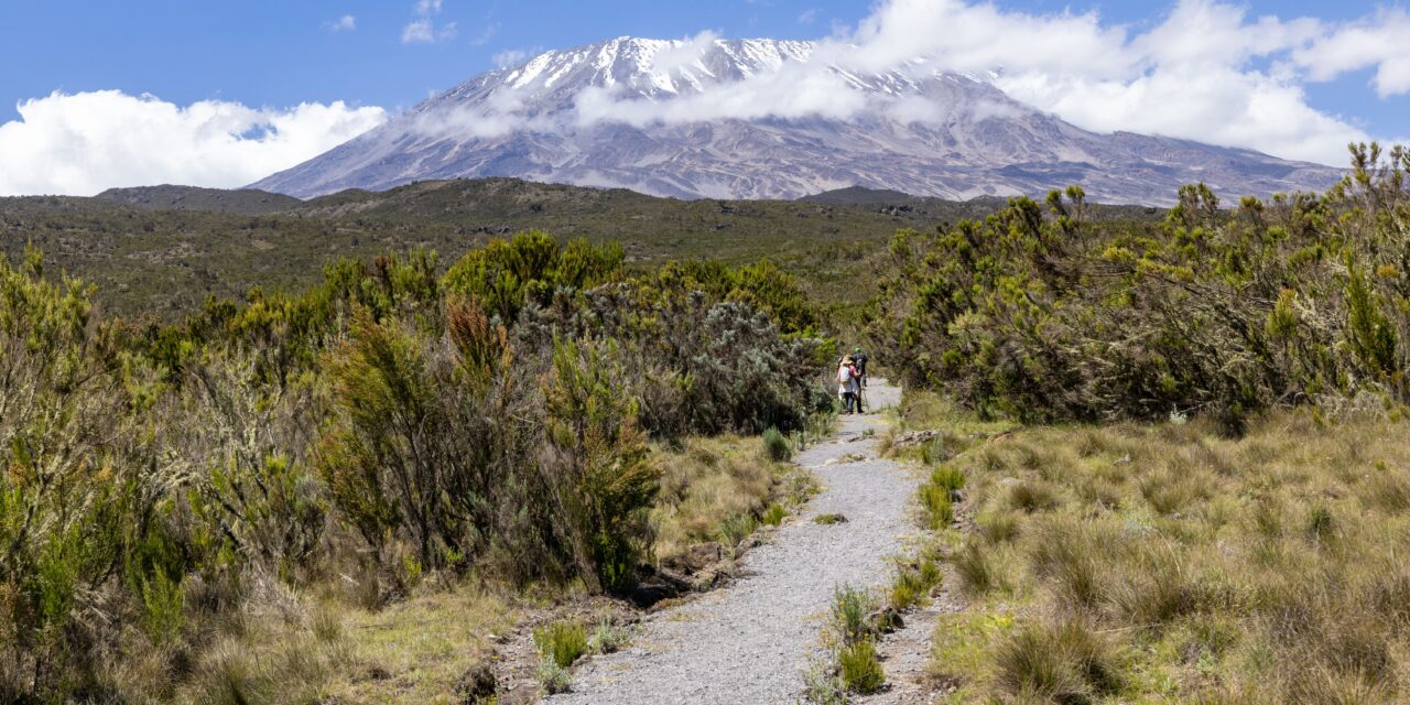 How to Combine Kilimanjaro Trek and Tanzania Safari – Complete Guide 2026-2027