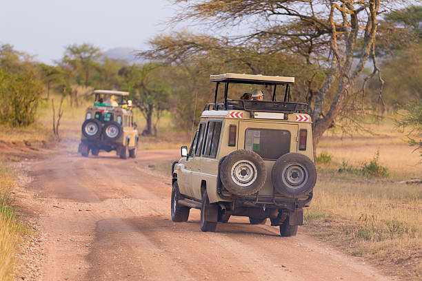 7-Day Photographic Expedition — Migration Intensive Seasonal: Complete Guide
