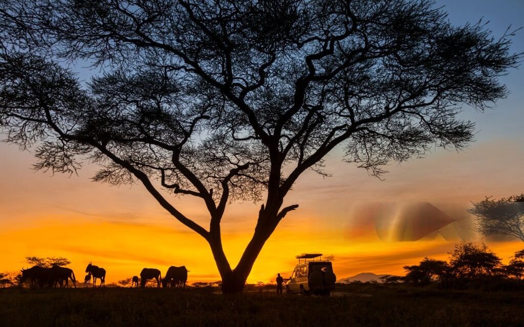 How to Plan a Luxury Safari in Tanzania – Complete Guide 2026-2027