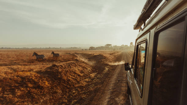 Serengeti Luxury Migration Safari From Moshi: Best Guide 2026-2027-2028