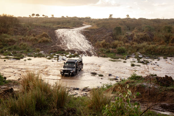 Mkomazi And Usambara Tour From Moshi: Complete Guide 2026-2027-2028
