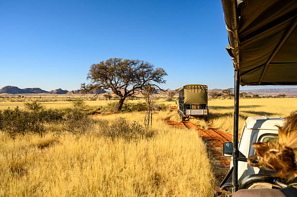 Moshi To Arusha National Park Safari: Best Guide 2026-2027-2028