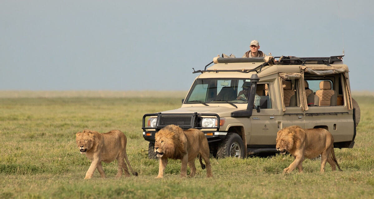 Southern Africa Travel Logistics Explained: Complete Guide 2026-2027