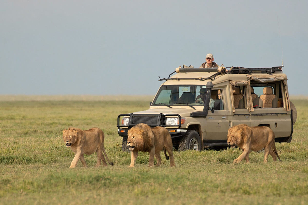 Southern Africa Travel Logistics Explained: Complete Guide 2026-2027