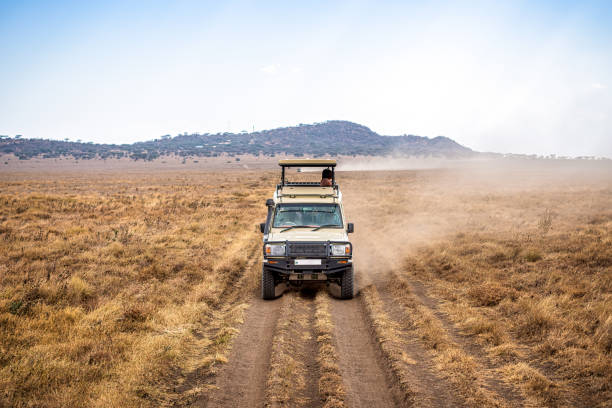 Best Safari From Moshi For Couples: Guide 2026-2027-2028
