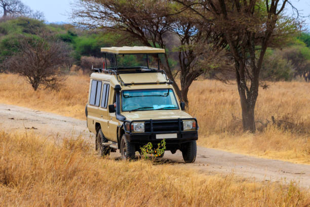 Mikumi Vs Nyerere: Best Safari From Dar Es Salaam: Guide 2026-2027